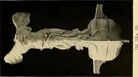An illustration from Catalogue of plaster cast reproductions from antique, medieval and modern sculpture : subjects for art schools. (1901)