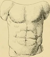 An illustration from Catalogue of plaster cast reproductions from antique, medieval and modern sculpture : subjects for art schools. (1901)