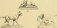An illustration from Catalogue of plaster cast reproductions from antique, medieval and modern sculpture : subjects for art schools. (1901)