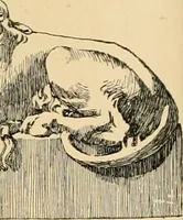 An illustration from Catalogue of plaster cast reproductions from antique, medieval and modern sculpture : subjects for art schools. (1901)