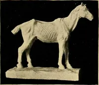 An illustration from Catalogue of plaster cast reproductions from antique, medieval and modern sculpture : subjects for art schools. (1901)