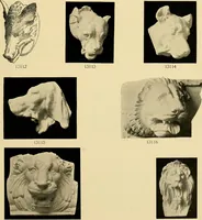 An illustration from Catalogue of plaster cast reproductions from antique, medieval and modern sculpture : subjects for art schools. (1901)