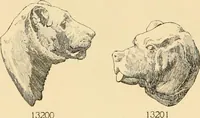An illustration from Catalogue of plaster cast reproductions from antique, medieval and modern sculpture : subjects for art schools. (1901)