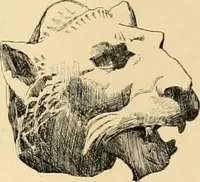 An illustration from Catalogue of plaster cast reproductions from antique, medieval and modern sculpture : subjects for art schools. (1901)