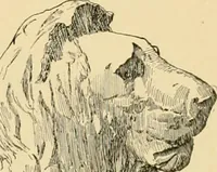 An illustration from Catalogue of plaster cast reproductions from antique, medieval and modern sculpture : subjects for art schools. (1901)