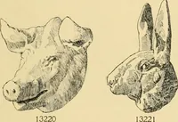 Picture 499 of 726 from Catalogue of plaster cast reproductions from antique, medieval and modern sculpture : subjects for art schools. (1901), leaf 224