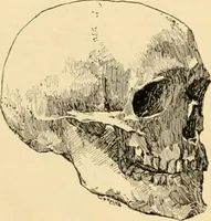 An illustration from Catalogue of plaster cast reproductions from antique, medieval and modern sculpture : subjects for art schools. (1901)