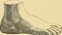 An illustration from Catalogue of plaster cast reproductions from antique, medieval and modern sculpture : subjects for art schools. (1901)