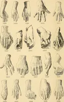 An illustration from Catalogue of plaster cast reproductions from antique, medieval and modern sculpture : subjects for art schools. (1901)