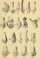 An illustration from Catalogue of plaster cast reproductions from antique, medieval and modern sculpture : subjects for art schools. (1901)