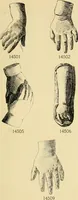An illustration from Catalogue of plaster cast reproductions from antique, medieval and modern sculpture : subjects for art schools. (1901)