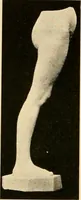 An illustration from Catalogue of plaster cast reproductions from antique, medieval and modern sculpture : subjects for art schools. (1901)