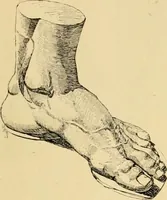 An illustration from Catalogue of plaster cast reproductions from antique, medieval and modern sculpture : subjects for art schools. (1901)