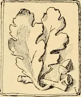 An illustration from Catalogue of plaster cast reproductions from antique, medieval and modern sculpture : subjects for art schools. (1901)