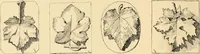 An illustration from Catalogue of plaster cast reproductions from antique, medieval and modern sculpture : subjects for art schools. (1901)