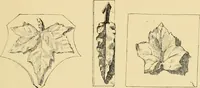 An illustration from Catalogue of plaster cast reproductions from antique, medieval and modern sculpture : subjects for art schools. (1901)