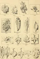 An illustration from Catalogue of plaster cast reproductions from antique, medieval and modern sculpture : subjects for art schools. (1901)