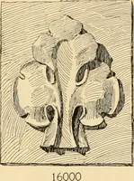 Picture 589 of 726 from Catalogue of plaster cast reproductions from antique, medieval and modern sculpture : subjects for art schools. (1901), leaf 253