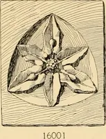 Picture 590 of 726 from Catalogue of plaster cast reproductions from antique, medieval and modern sculpture : subjects for art schools. (1901), leaf 253