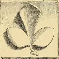 An illustration from Catalogue of plaster cast reproductions from antique, medieval and modern sculpture : subjects for art schools. (1901)
