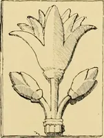 An illustration from Catalogue of plaster cast reproductions from antique, medieval and modern sculpture : subjects for art schools. (1901)