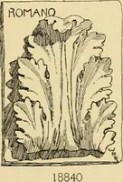 An illustration from Catalogue of plaster cast reproductions from antique, medieval and modern sculpture : subjects for art schools. (1901)