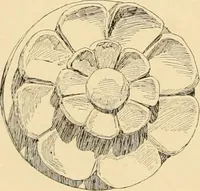 An illustration from Catalogue of plaster cast reproductions from antique, medieval and modern sculpture : subjects for art schools. (1901)