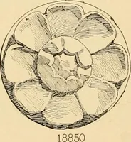 An illustration from Catalogue of plaster cast reproductions from antique, medieval and modern sculpture : subjects for art schools. (1901)