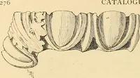 An illustration from Catalogue of plaster cast reproductions from antique, medieval and modern sculpture : subjects for art schools. (1901)