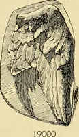 An illustration from Catalogue of plaster cast reproductions from antique, medieval and modern sculpture : subjects for art schools. (1901)