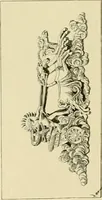 An illustration from Catalogue of plaster cast reproductions from antique, medieval and modern sculpture. (1894)