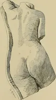 An illustration from Catalogue of plaster cast reproductions from antique, medieval and modern sculpture. (1894)