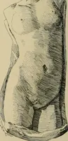 An illustration from Catalogue of plaster cast reproductions from antique, medieval and modern sculpture. (1894)
