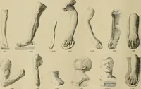 An illustration from Catalogue of plaster cast reproductions from antique, medieval and modern sculpture. (1894)