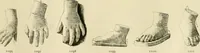 An illustration from Catalogue of plaster cast reproductions from antique, medieval and modern sculpture. (1894)