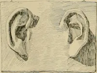 An illustration from Catalogue of plaster cast reproductions from antique, medieval and modern sculpture. (1894)