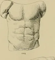 An illustration from Catalogue of plaster cast reproductions from antique, medieval and modern sculpture. (1894)