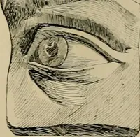 An illustration from Catalogue of plaster cast reproductions from antique, medieval and modern sculpture. (1894)