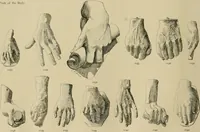 An illustration from Catalogue of plaster cast reproductions from antique, medieval and modern sculpture. (1894)