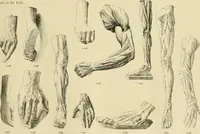 An illustration from Catalogue of plaster cast reproductions from antique, medieval and modern sculpture. (1894)