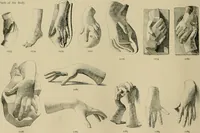 An illustration from Catalogue of plaster cast reproductions from antique, medieval and modern sculpture. (1894)