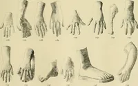 An illustration from Catalogue of plaster cast reproductions from antique, medieval and modern sculpture. (1894)