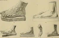 An illustration from Catalogue of plaster cast reproductions from antique, medieval and modern sculpture. (1894)