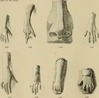 An illustration from Catalogue of plaster cast reproductions from antique, medieval and modern sculpture. (1894)