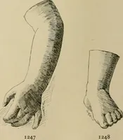 An illustration from Catalogue of plaster cast reproductions from antique, medieval and modern sculpture. (1894)