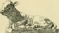 An illustration from Catalogue of plaster cast reproductions from antique, medieval and modern sculpture. (1894)