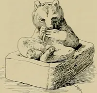 An illustration from Catalogue of plaster cast reproductions from antique, medieval and modern sculpture. (1894)