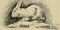 An illustration from Catalogue of plaster cast reproductions from antique, medieval and modern sculpture. (1894)