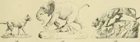 An illustration from Catalogue of plaster cast reproductions from antique, medieval and modern sculpture. (1894)