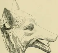 An illustration from Catalogue of plaster cast reproductions from antique, medieval and modern sculpture. (1894)